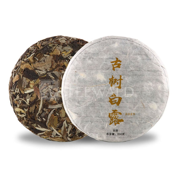 Thé blanc Gushu blanc du Yunnan 2021