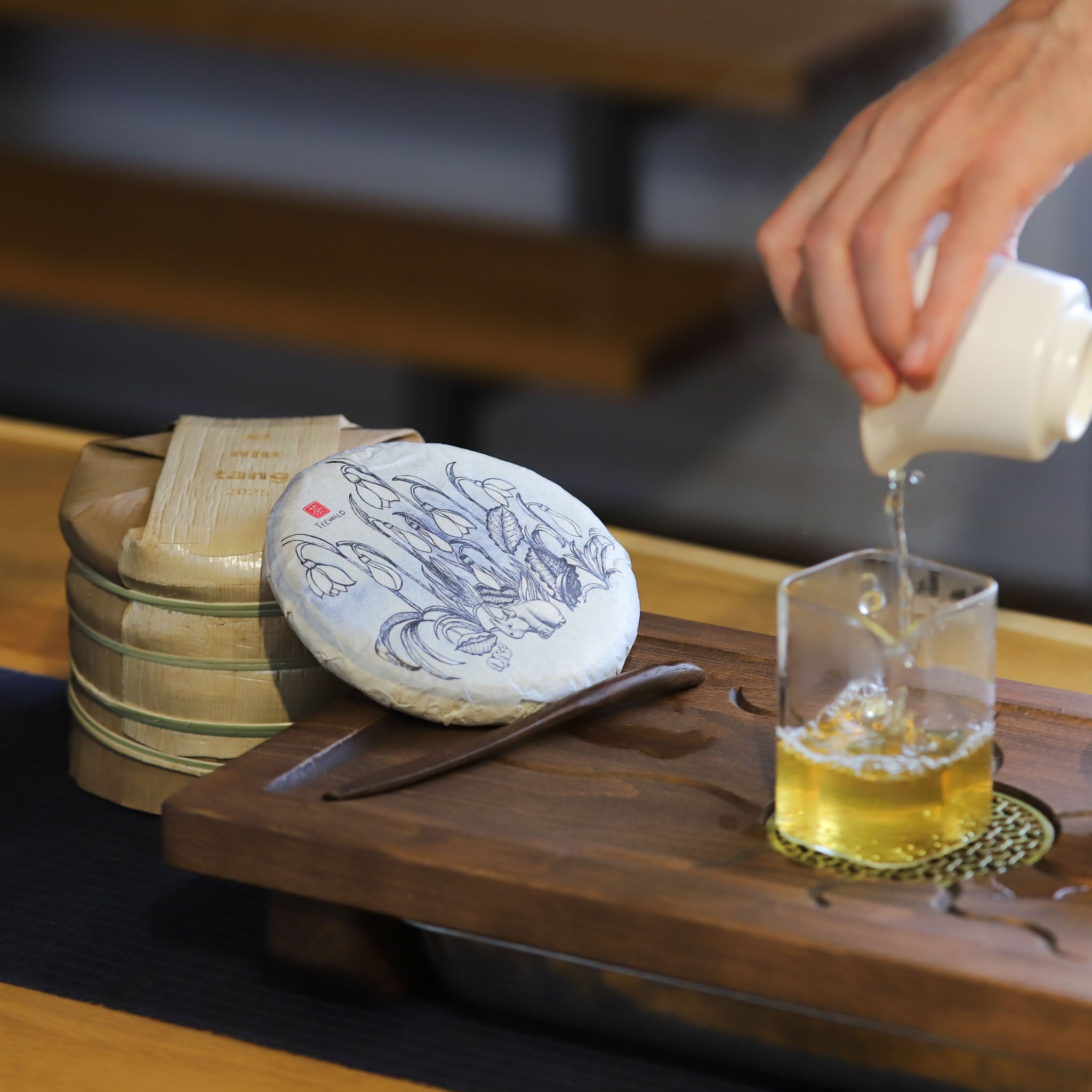 2025 Pasha Sheng Pu Erh - Xi Niu Tang