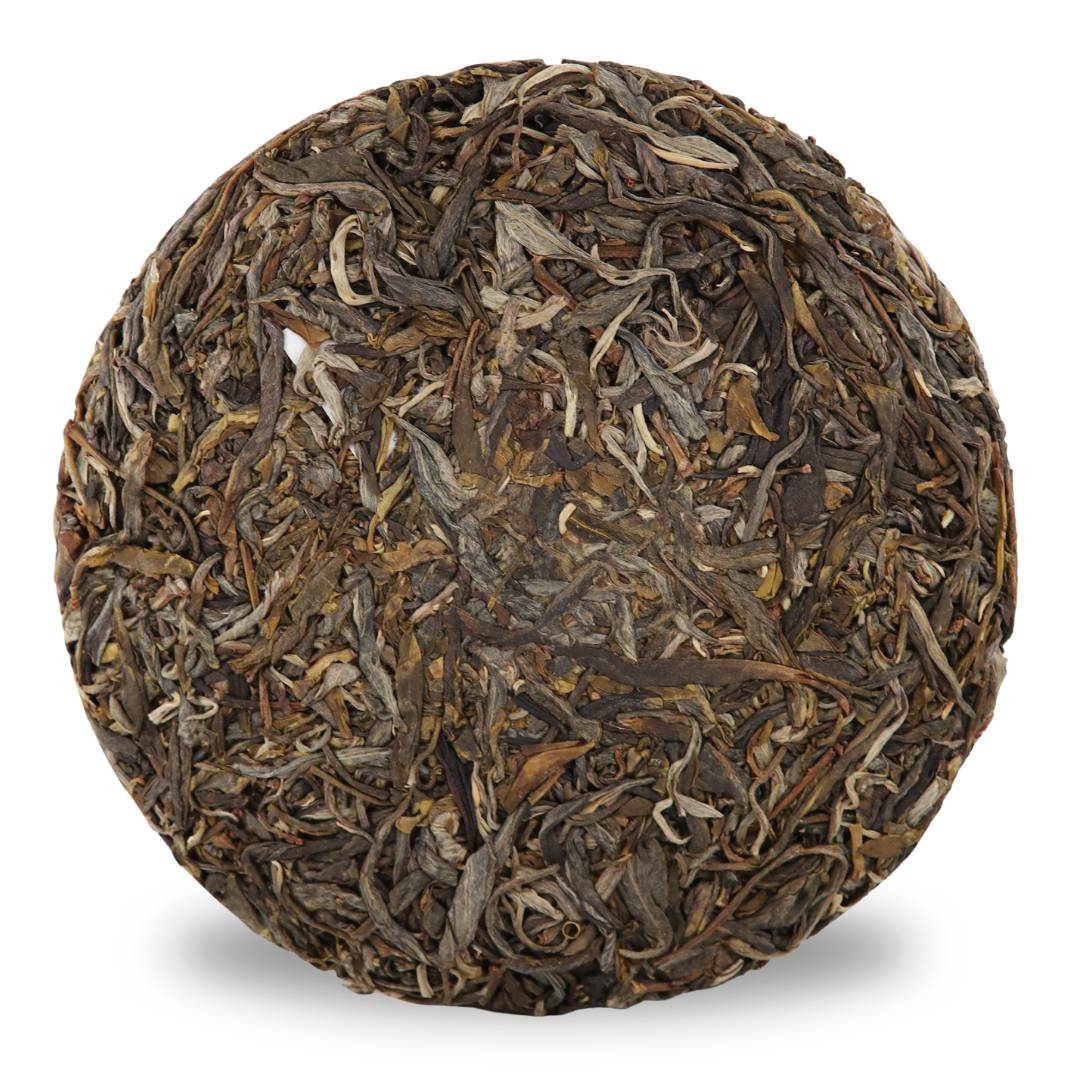 2025 Ku Zhu Shan Danzhu Sheng Pu Erh