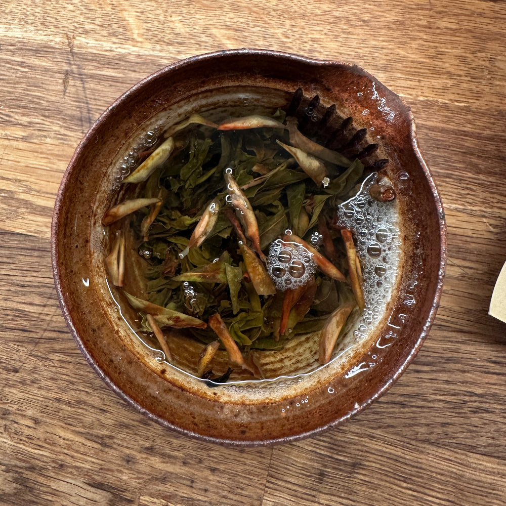 2023 Da Xue Shan Wild Sheng Pu Erh
