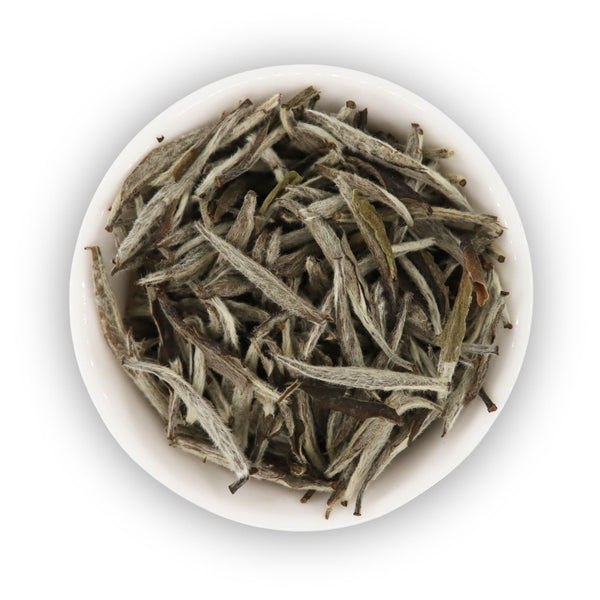 2019 Fuding Silver Needle