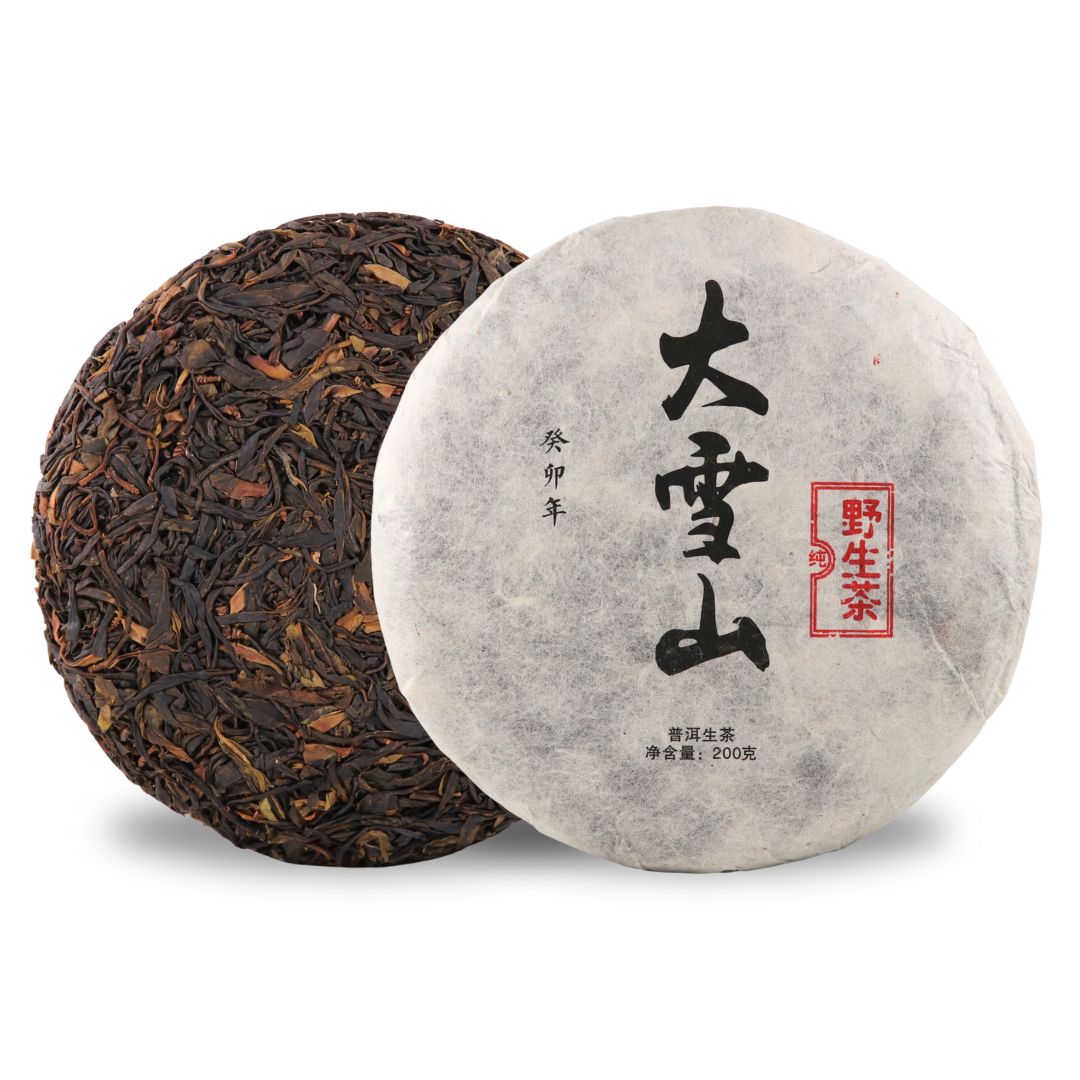 2023 Da Xue Shan Wild Sheng Pu Erh