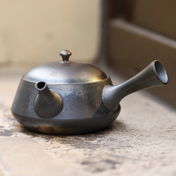 Théière japonaise Kyusu argent (280 ml)