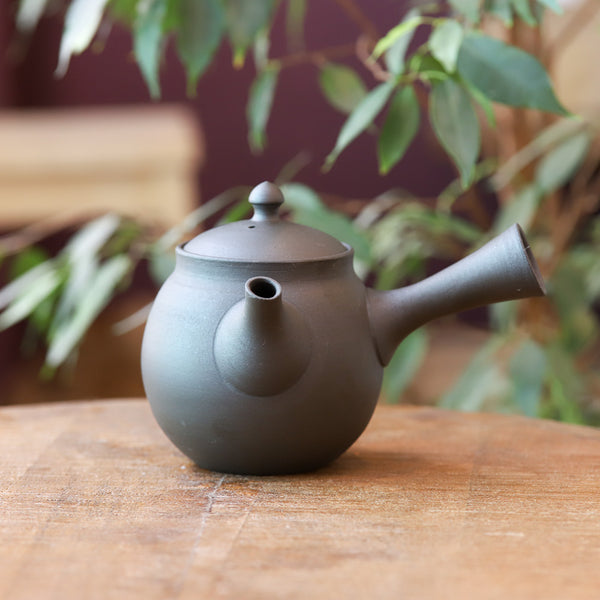 Théière japonaise Kyusu noire (280 ml)