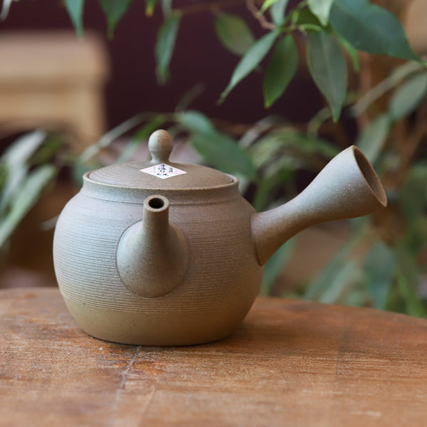 Théière japonaise Kyusu marron (300 ml)