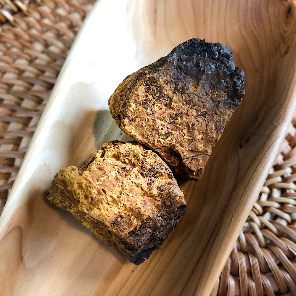 Wilder Chaga Pilz Tee aus Lappland Finnland