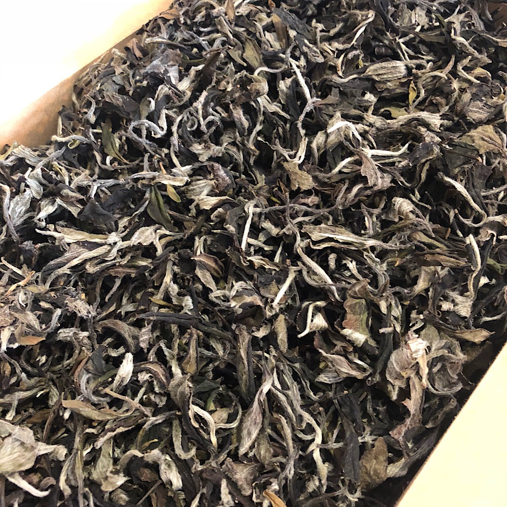 2017 Homemade Pai Mu Tan (White Peony)