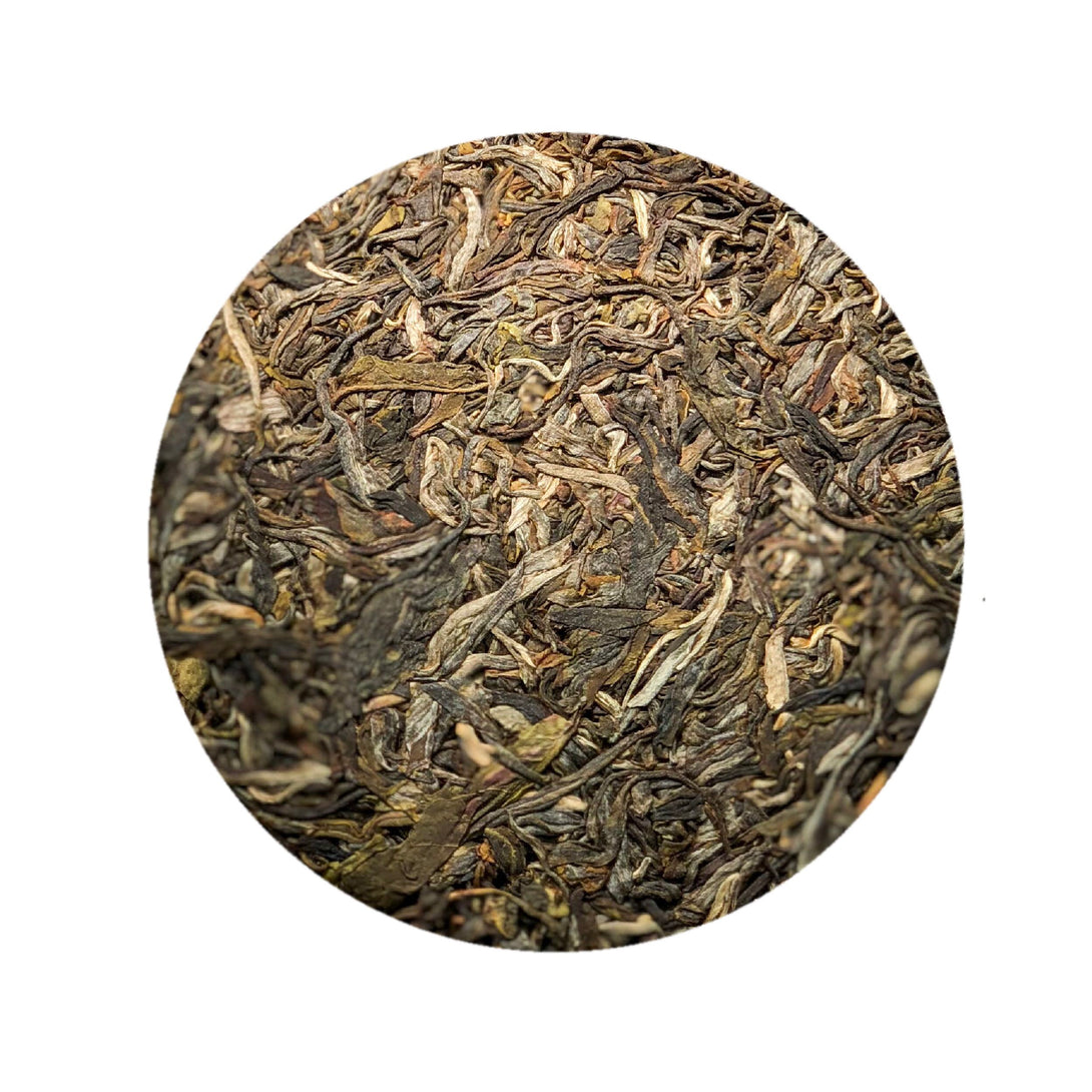 Phongsaly Sheng Pu Erh 2013 Frühling