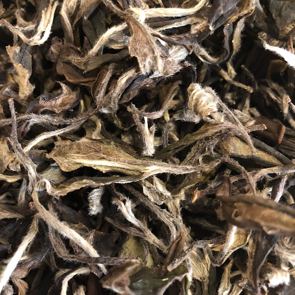 2017 Homemade Pai Mu Tan (White Peony)