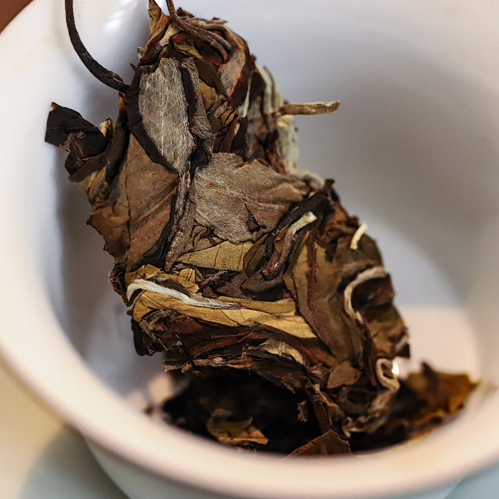 2021 Gushu White Yunnan Weißer Tee