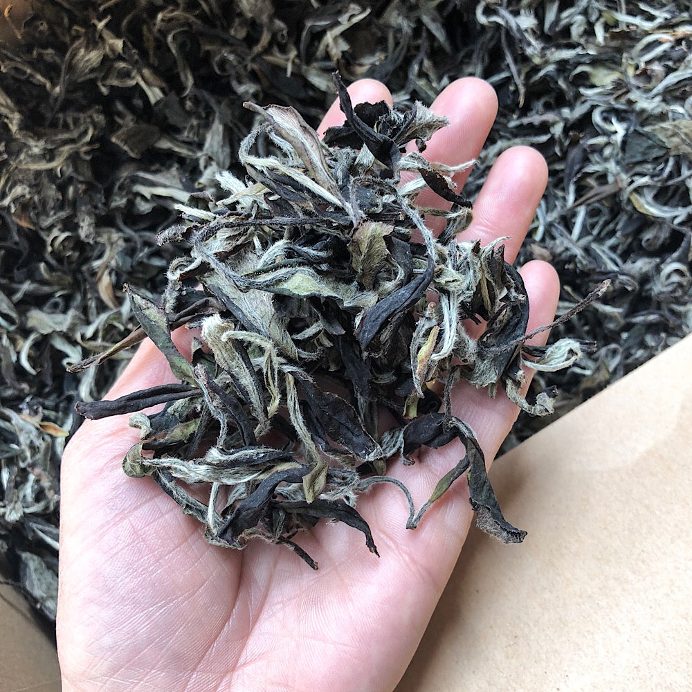 2017 Homemade Pai Mu Tan (White Peony)