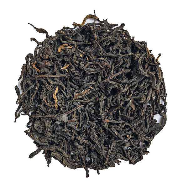 Wuyi Lapsang Souchong Rauchtee