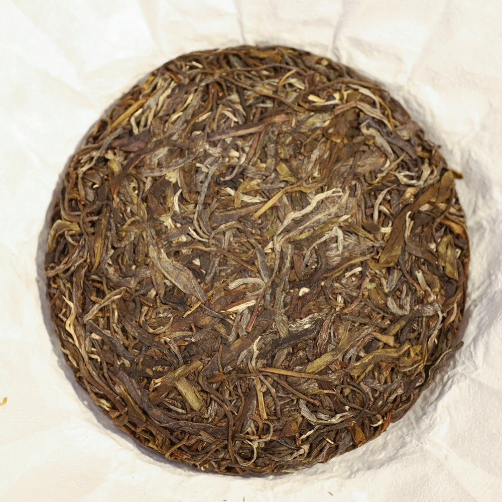 2021 Nannuo Shan Sheng Pu Erh Dashu