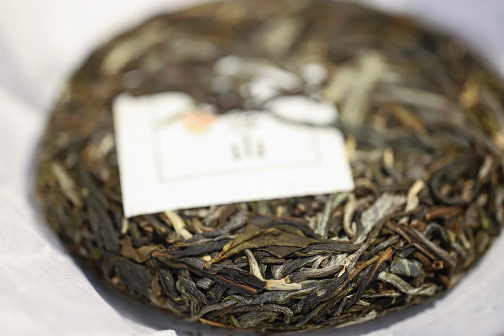 2021 Da Xue Shan Gushu Sheng Pu Erh