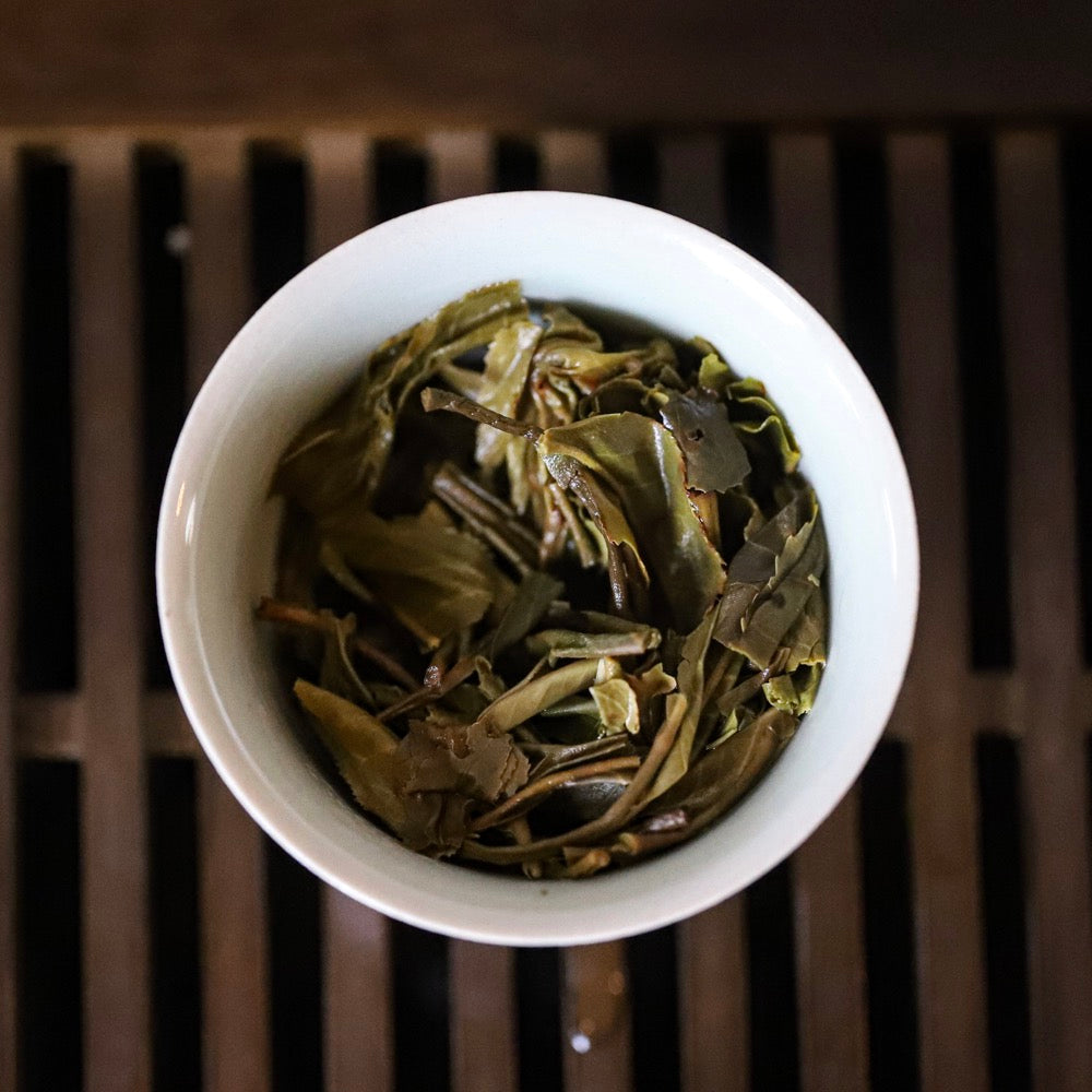 2021 Da Xue Shan Gushu Sheng Pu Erh