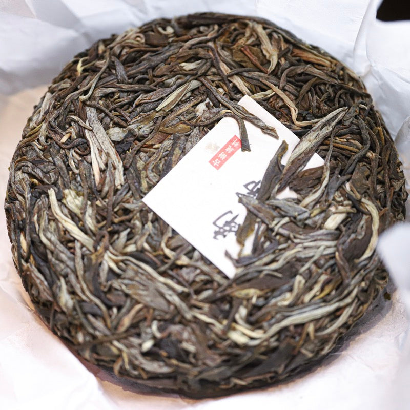 2021 Nannuo Shan Gushu Sheng Pu Erh