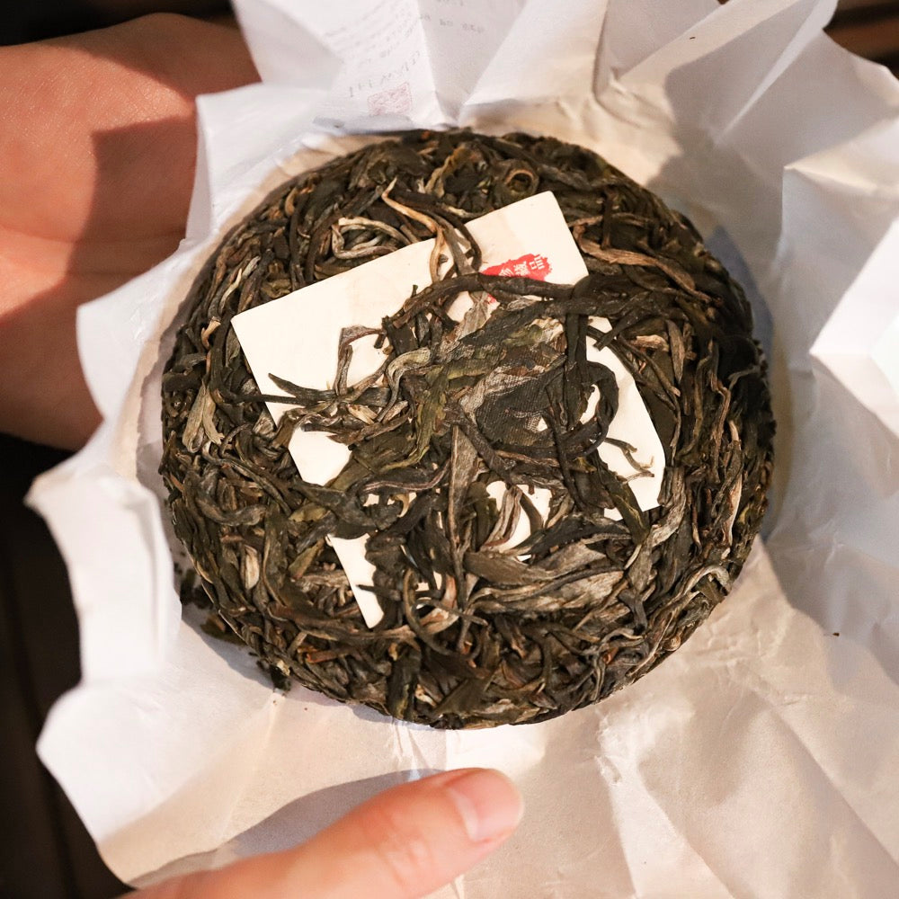 2021 Xiao Hu Sai Gushu Sheng Pu Erh